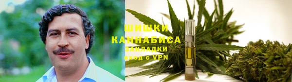 мдпв Саяногорск