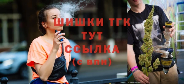 соль ск Верхний Тагил