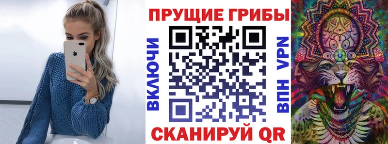 мега сайт  цена   Гудермес  Псилоцибиновые грибы Psilocybine cubensis 